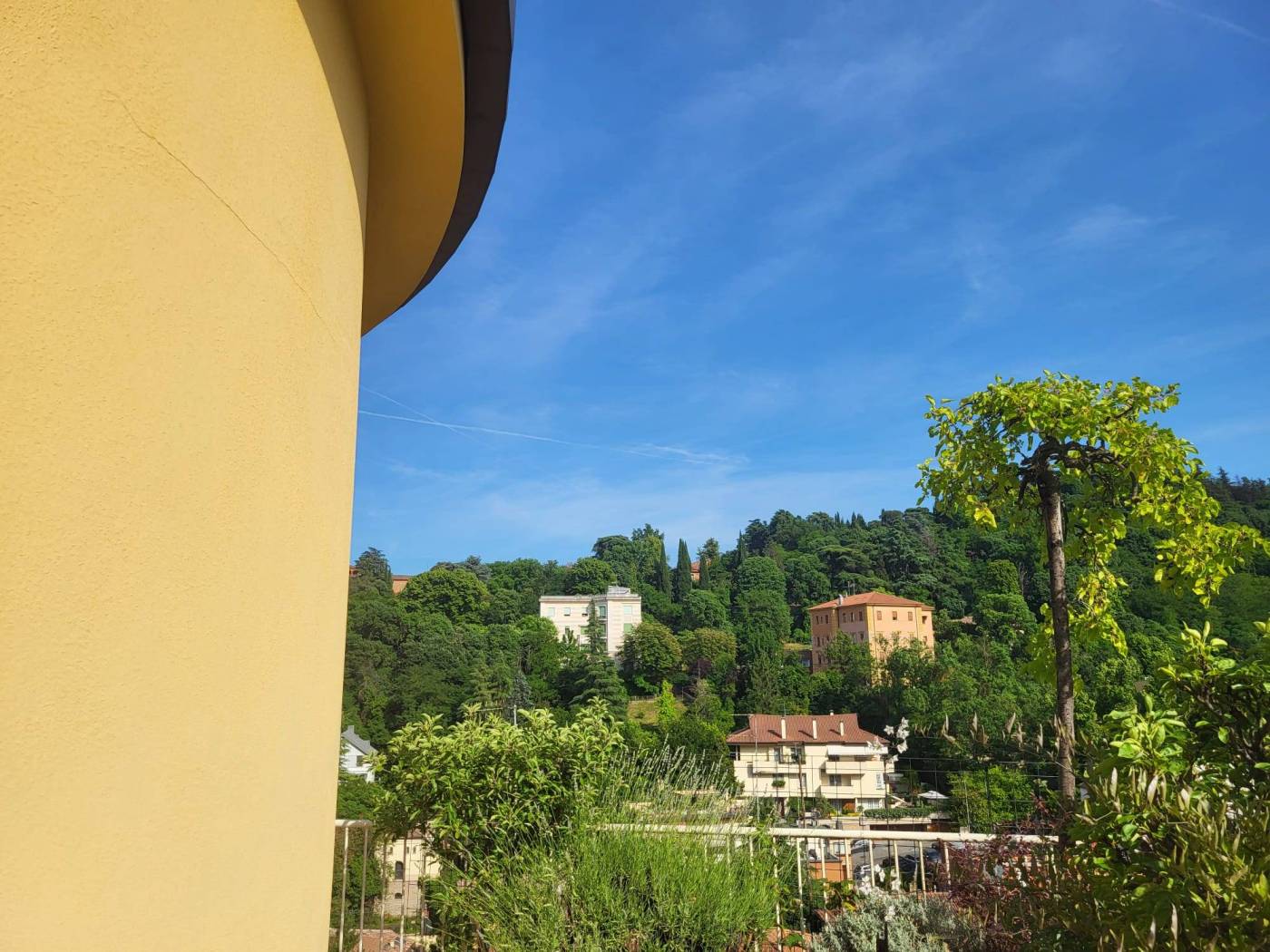 Vista