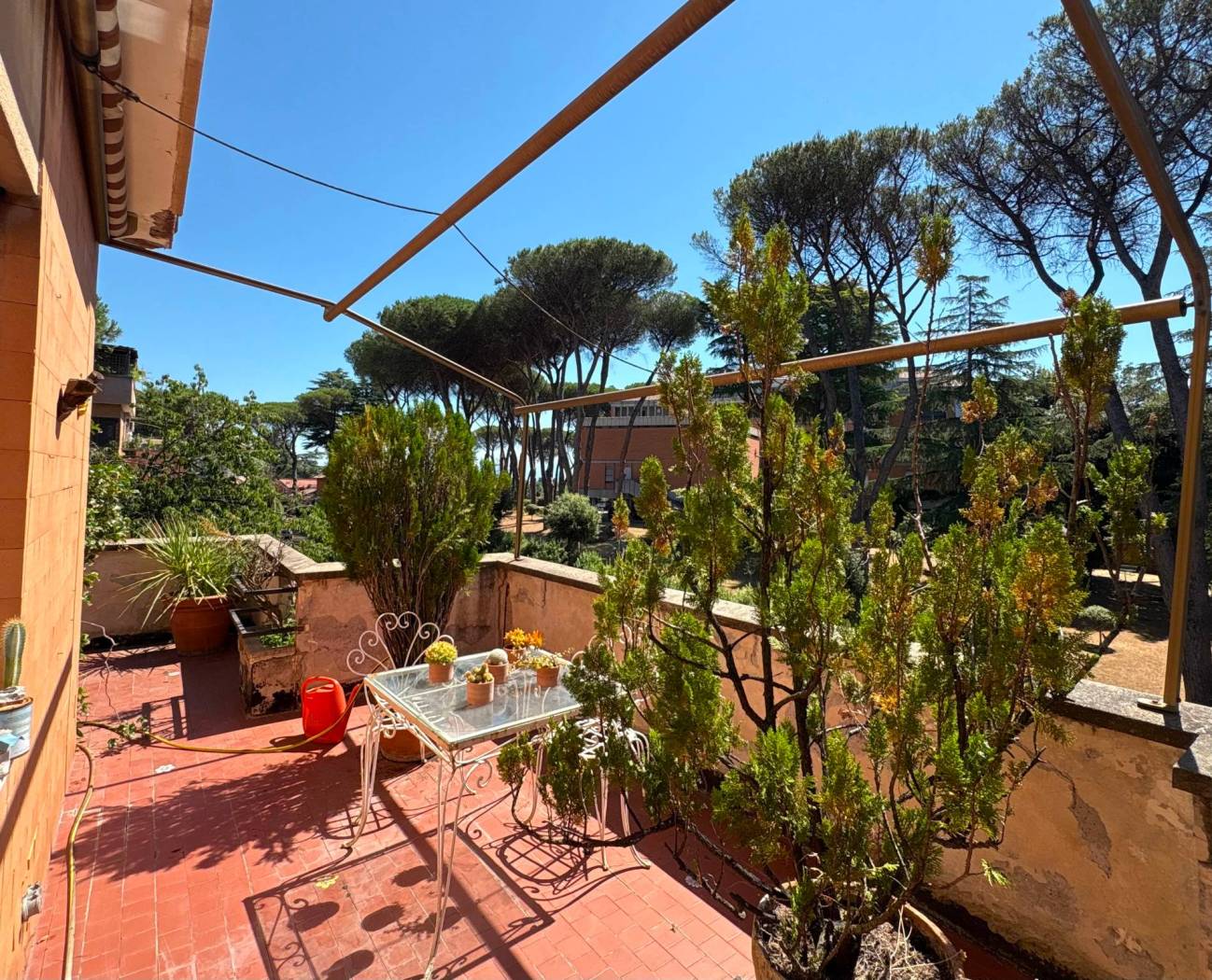 Giardino