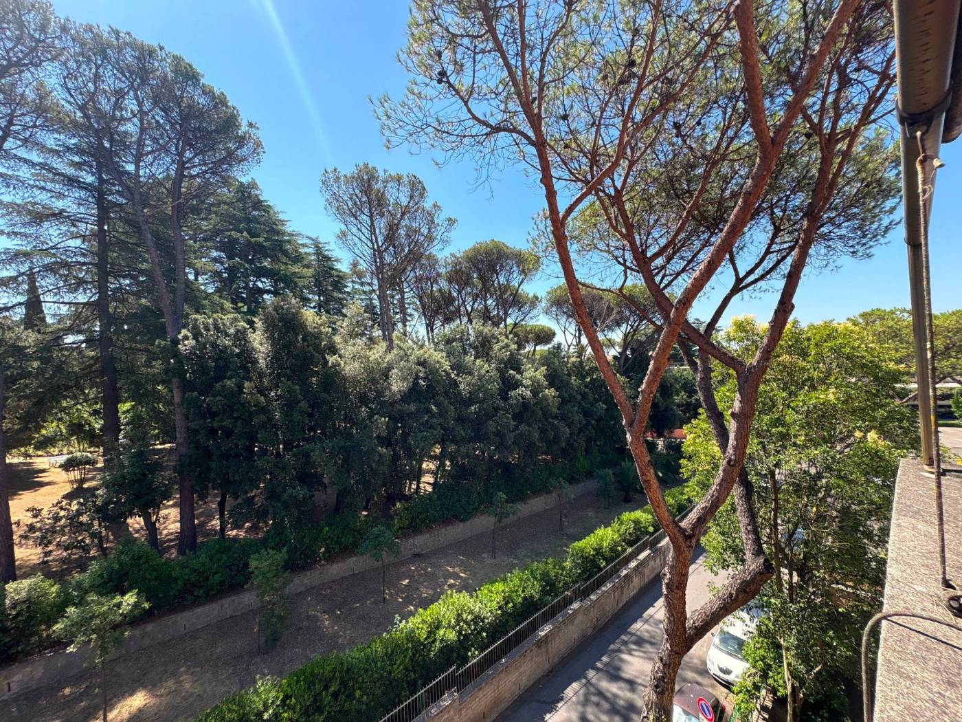 Vista