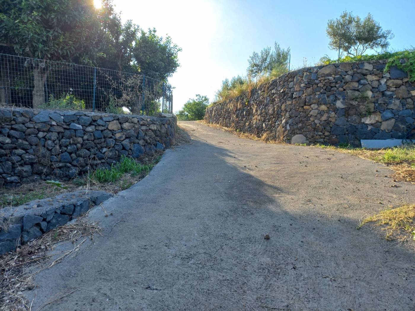 Terreno