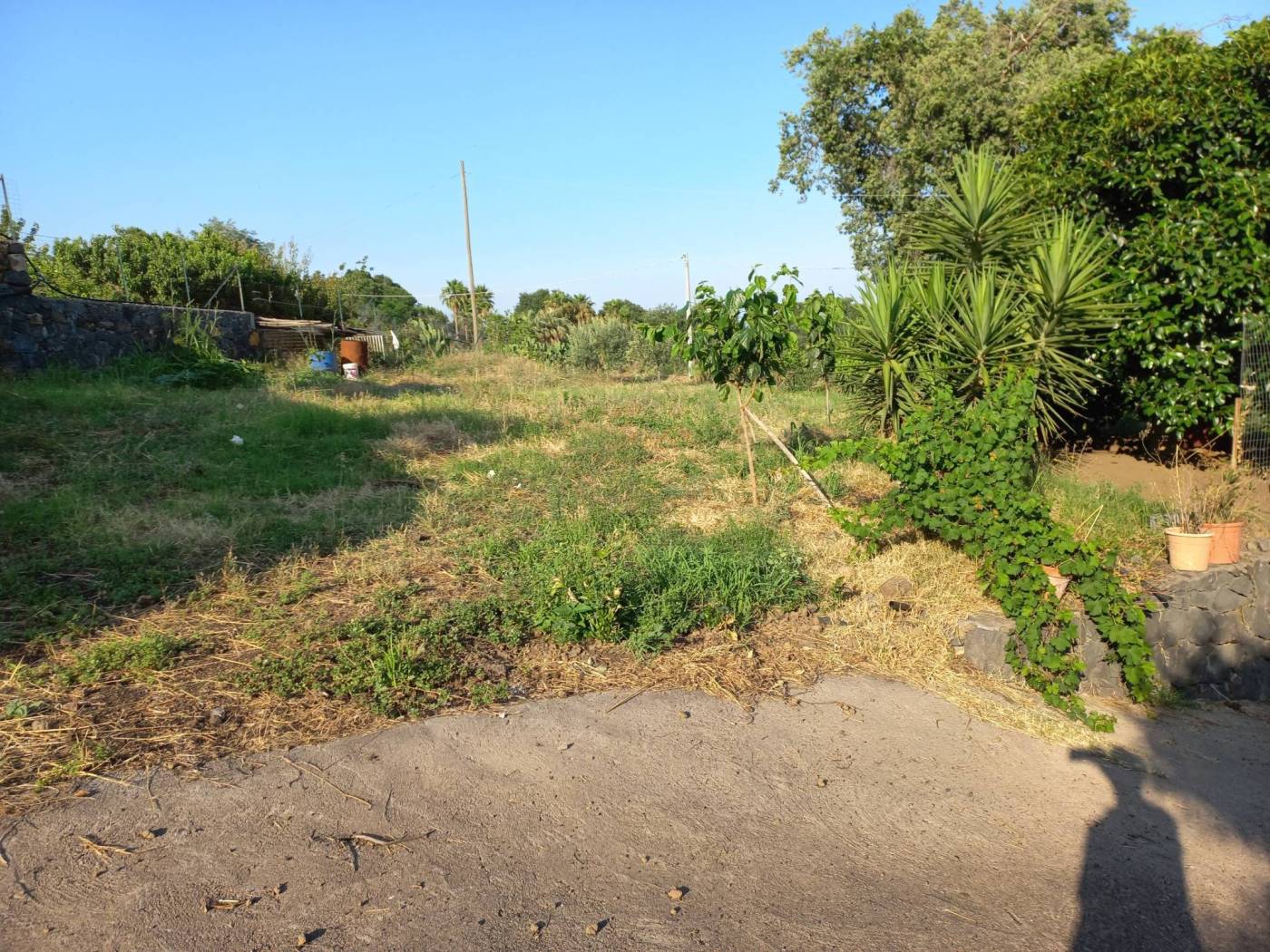 Terreno