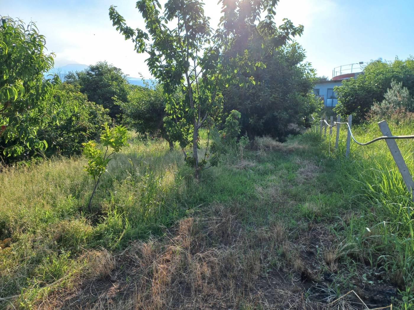 Terreno