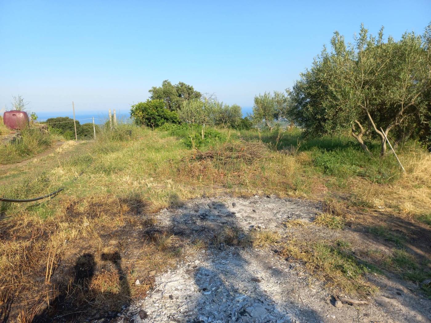 Terreno