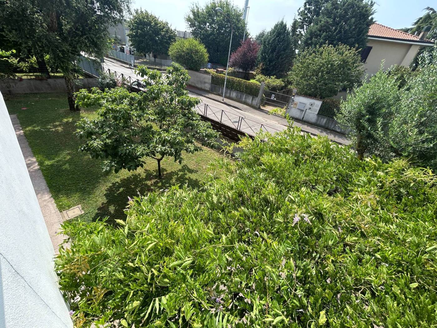 Giardino