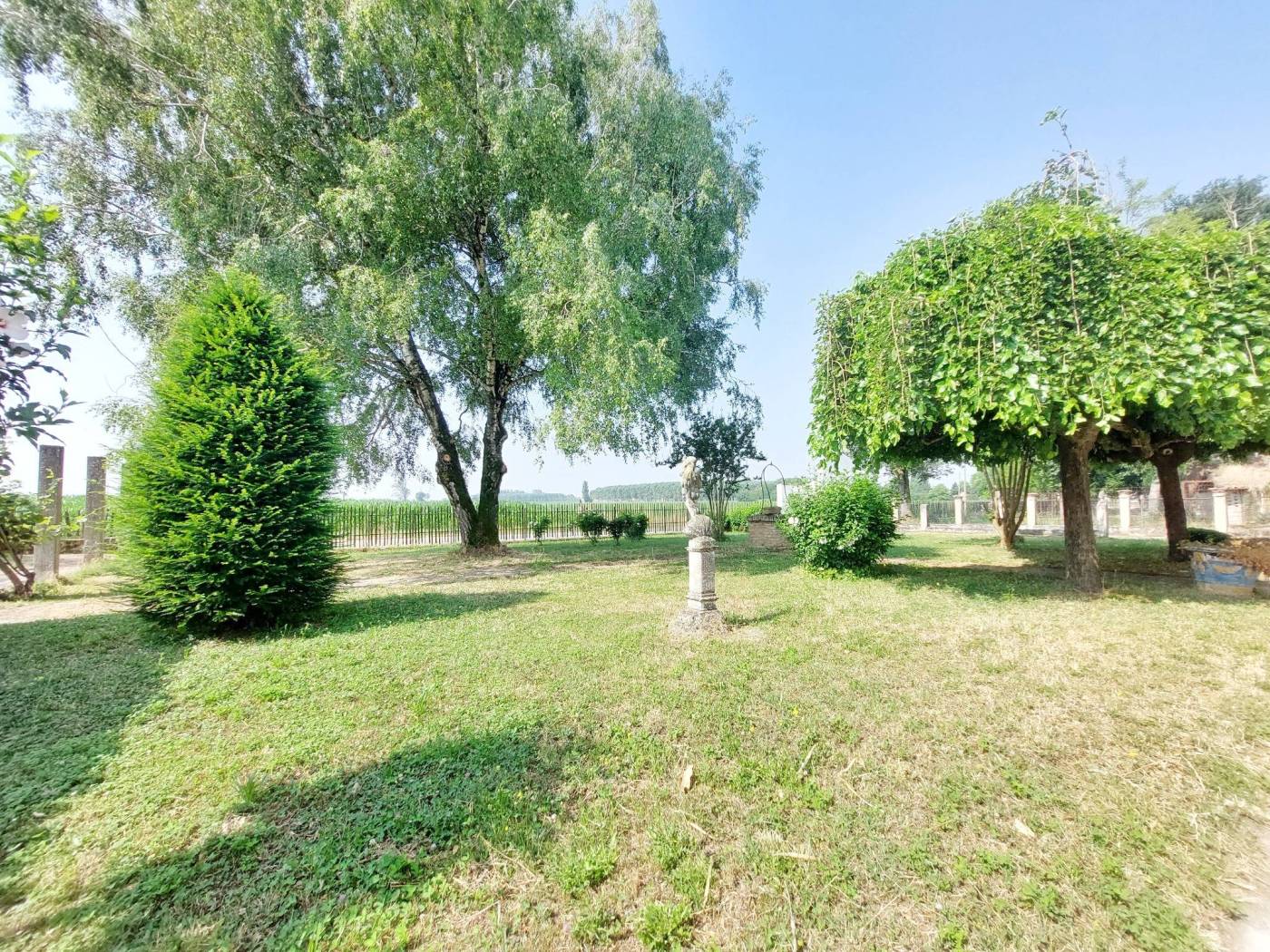 Giardino