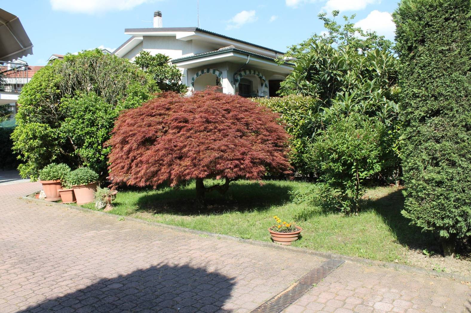 Giardino