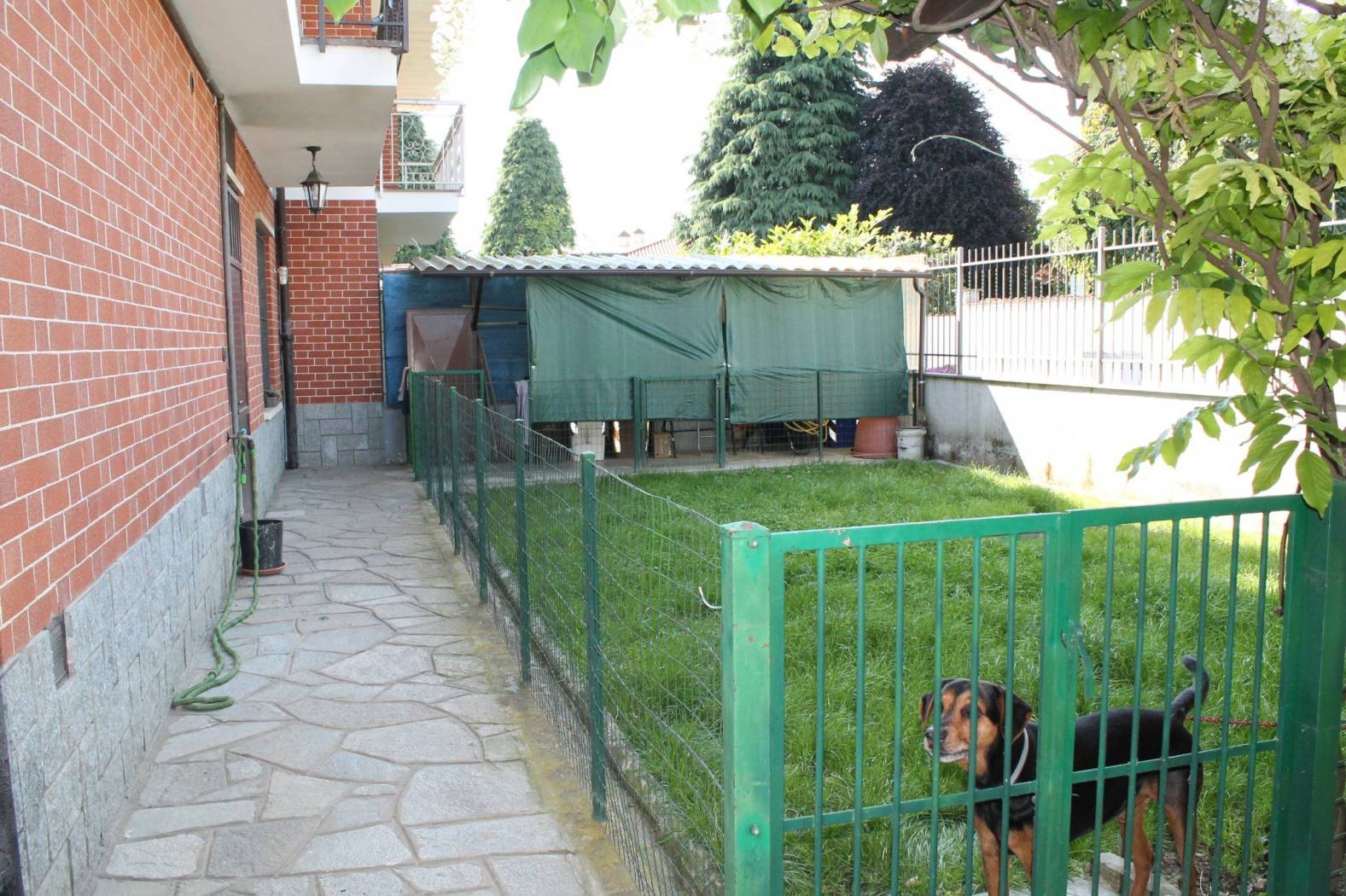 Giardino
