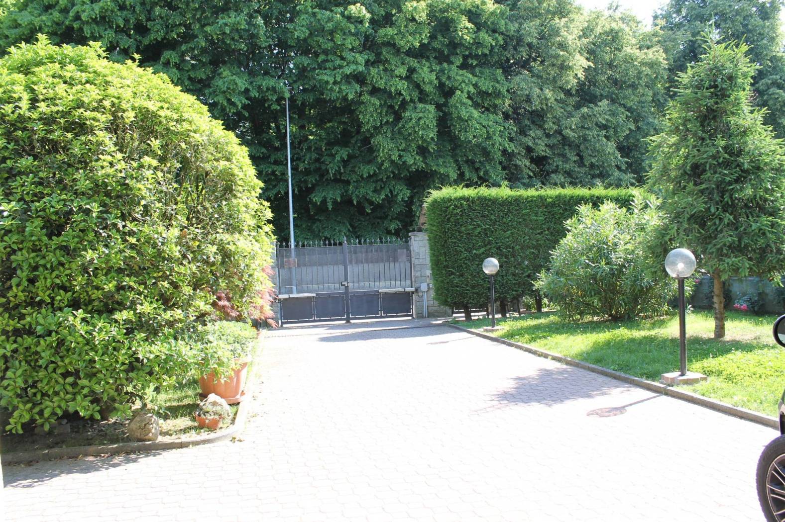 Giardino