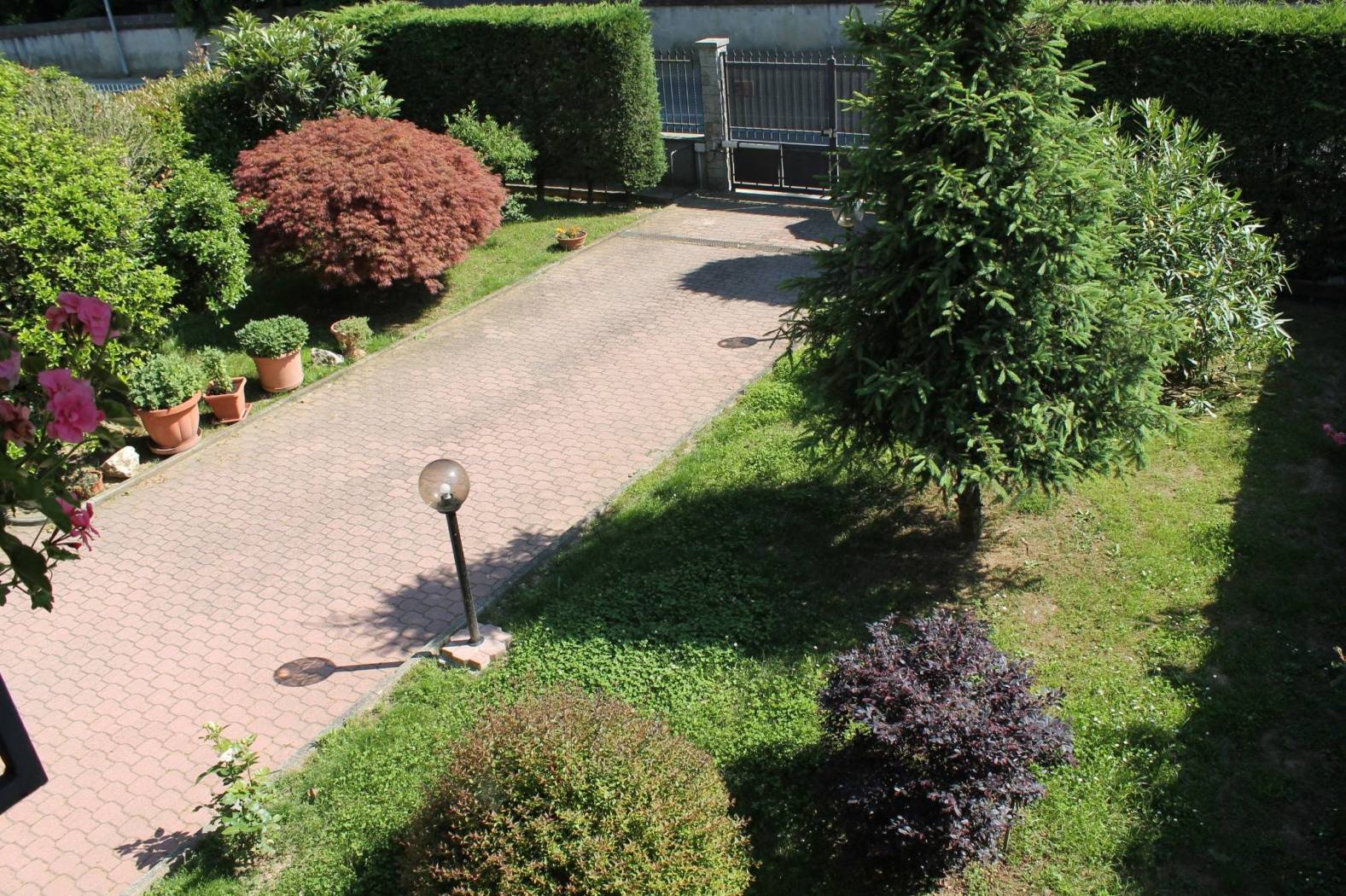Giardino