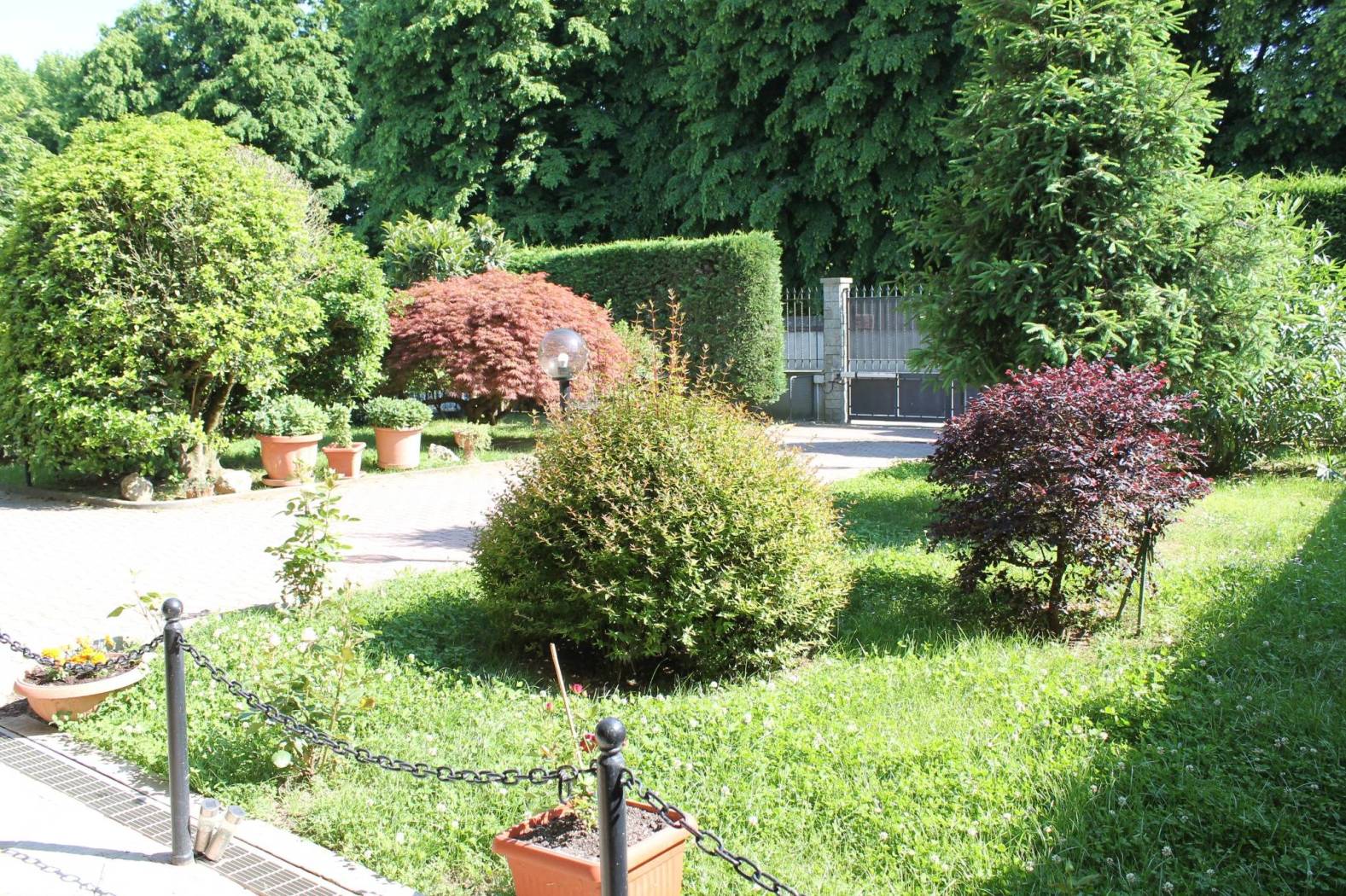 Giardino
