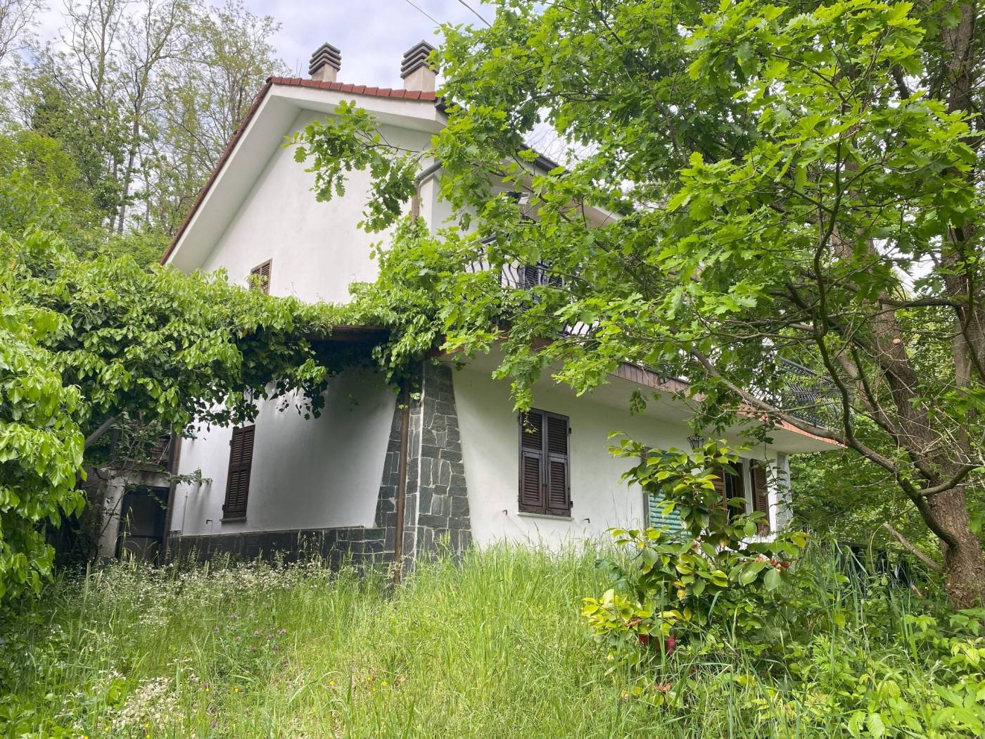 Giardino
