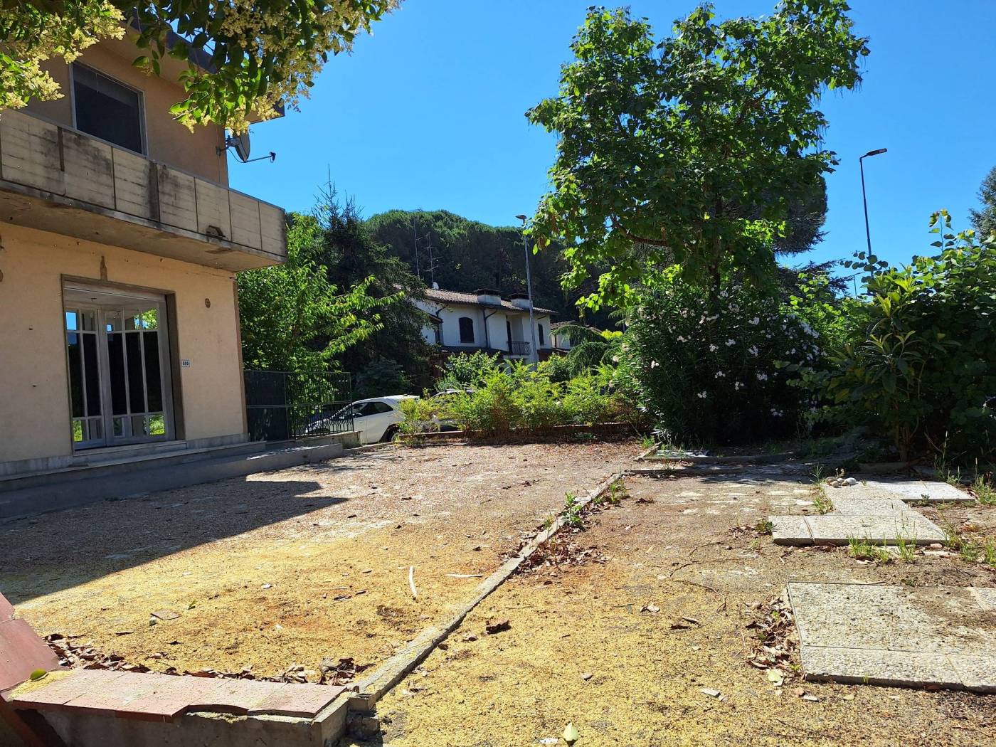 Giardino