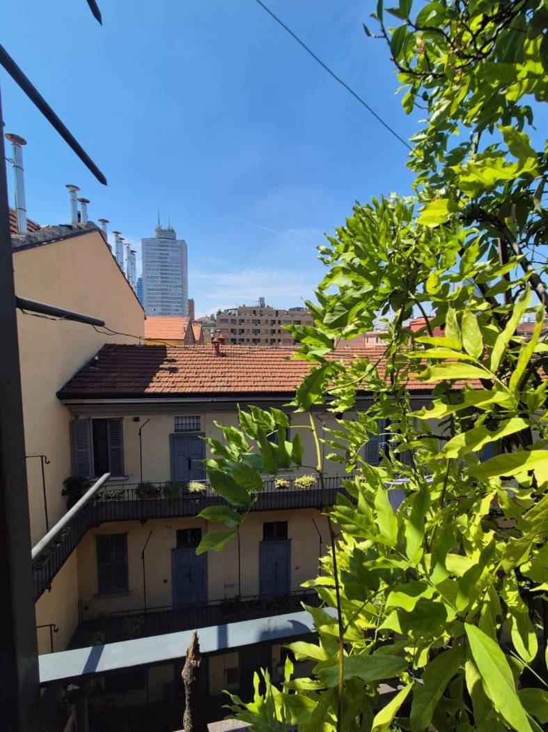 Vista