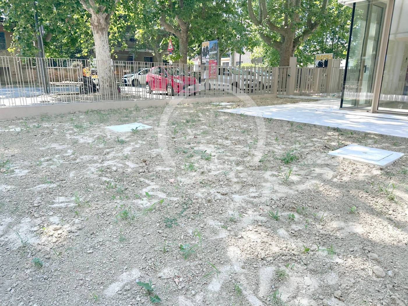 Giardino