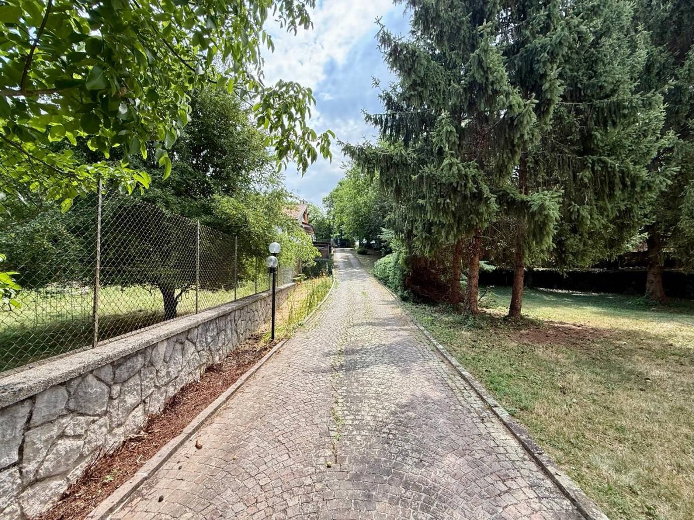 Ingresso