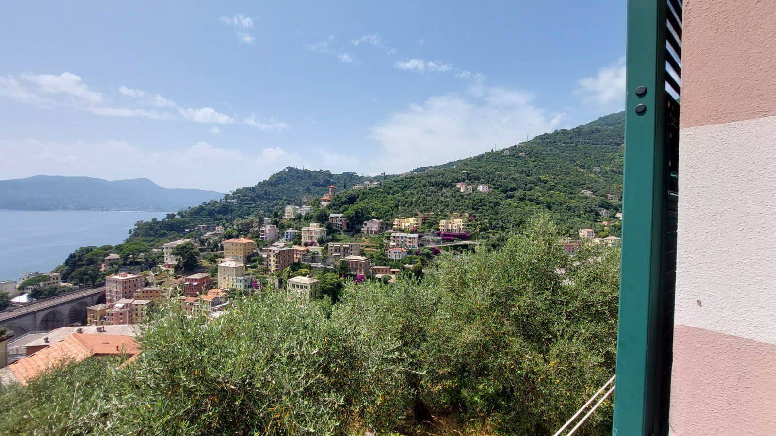 Vista