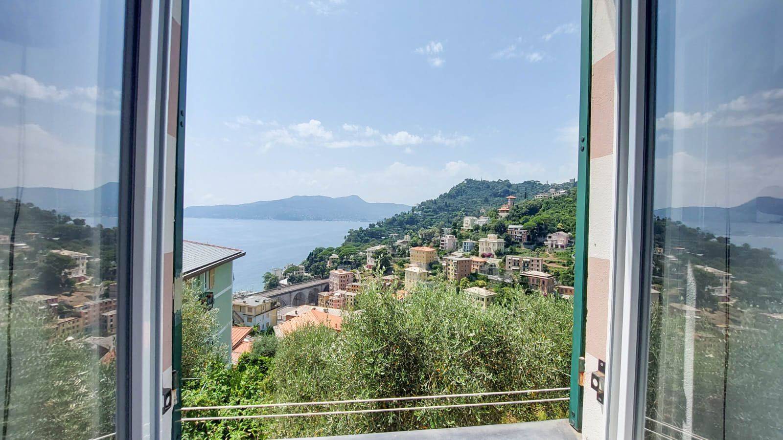 Vista
