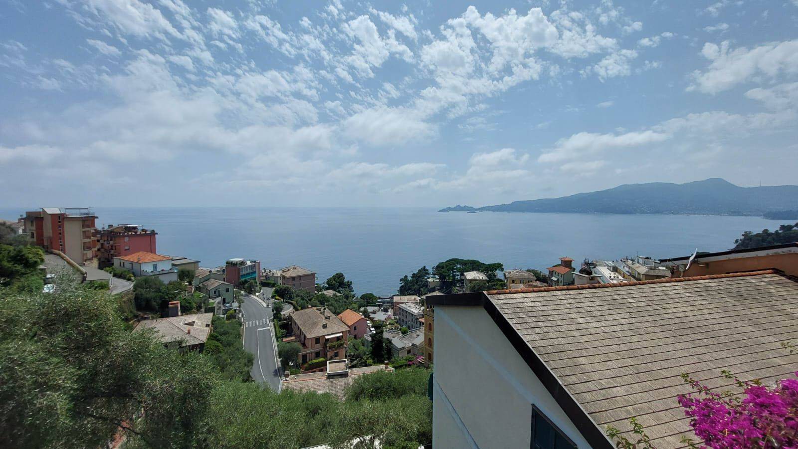Vista