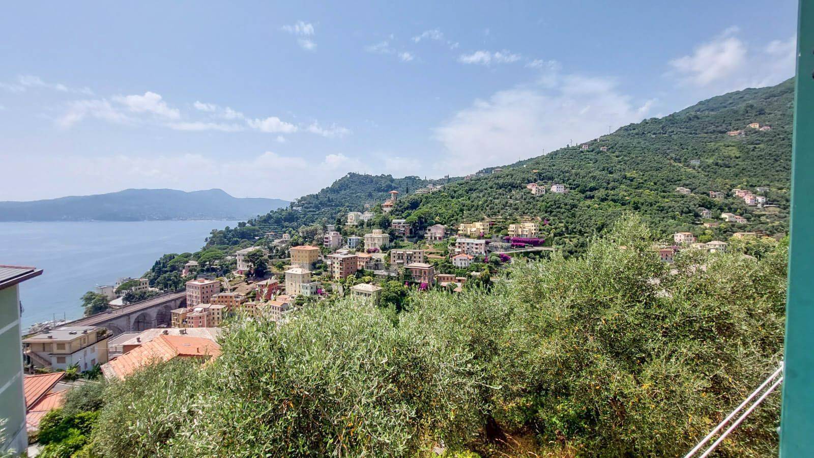 Vista