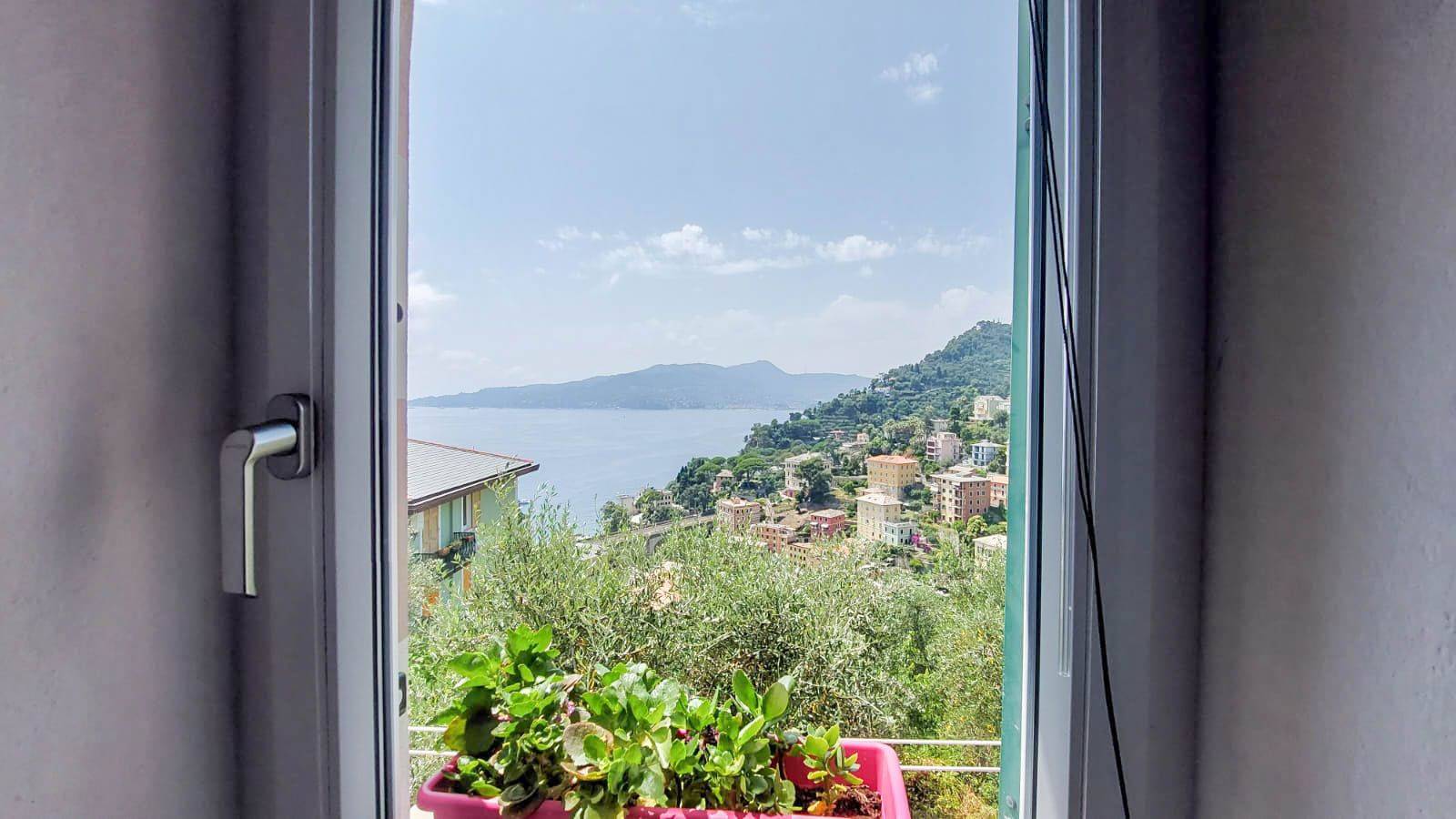 Vista