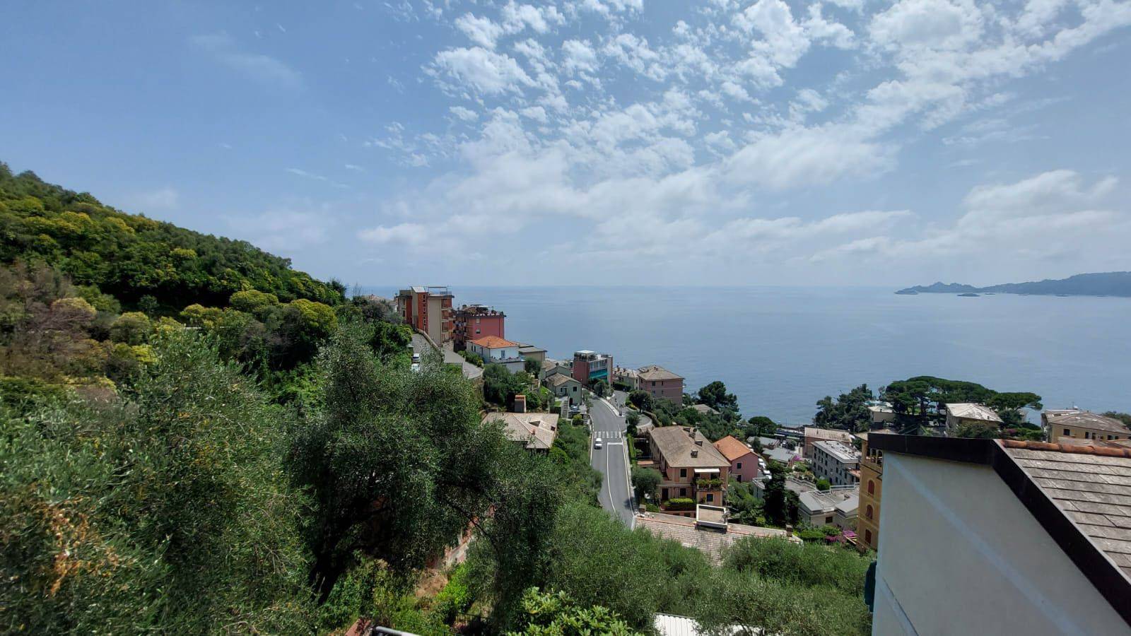 Vista