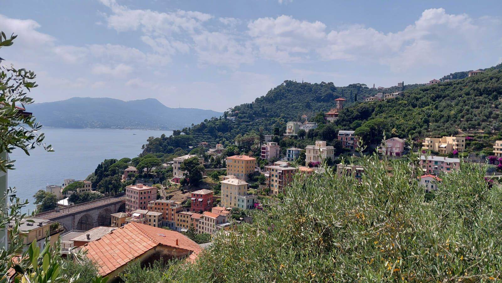 Vista