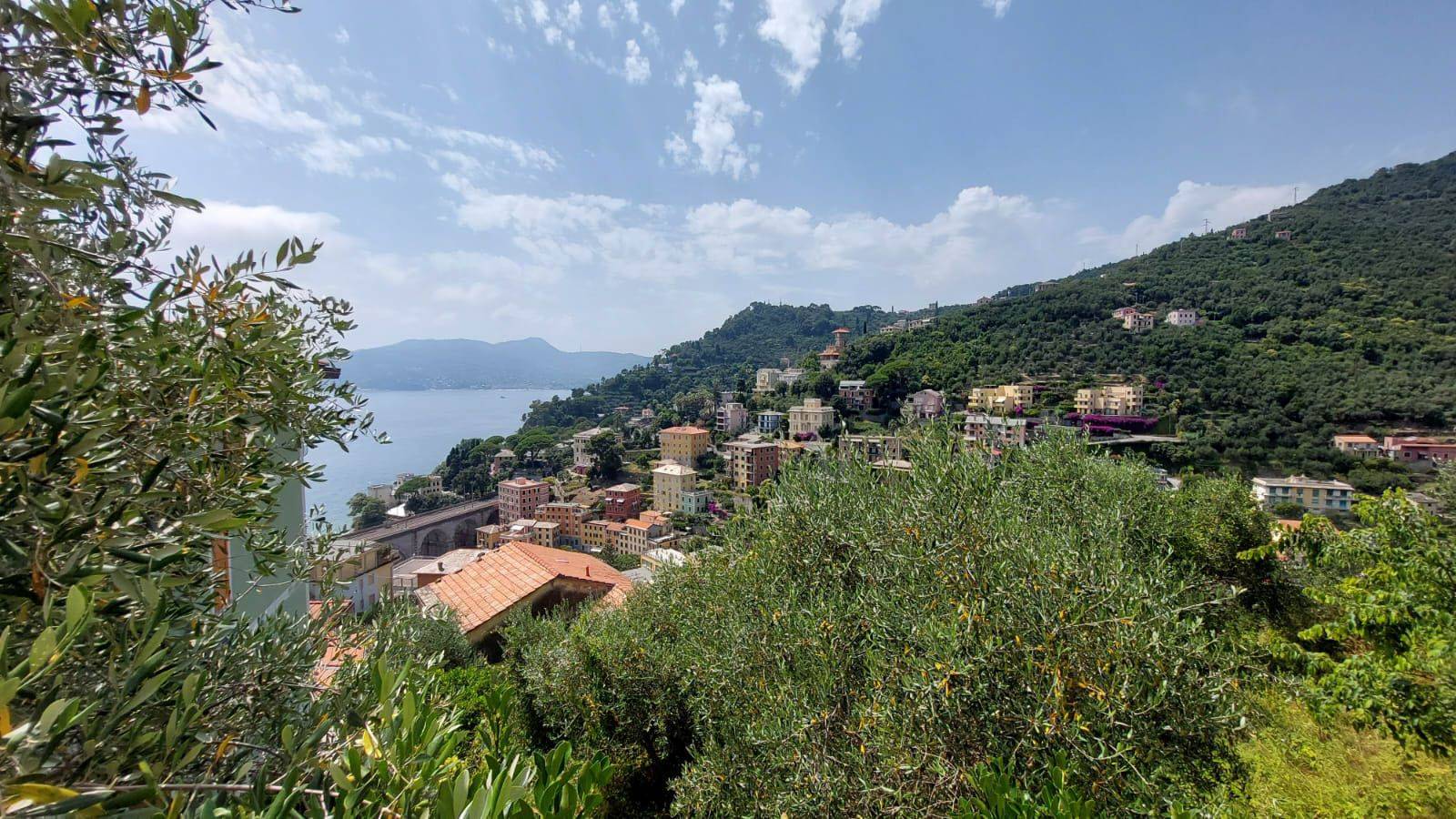 Vista