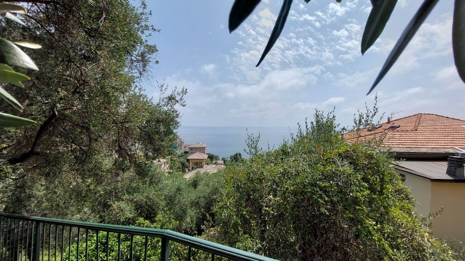 Vista