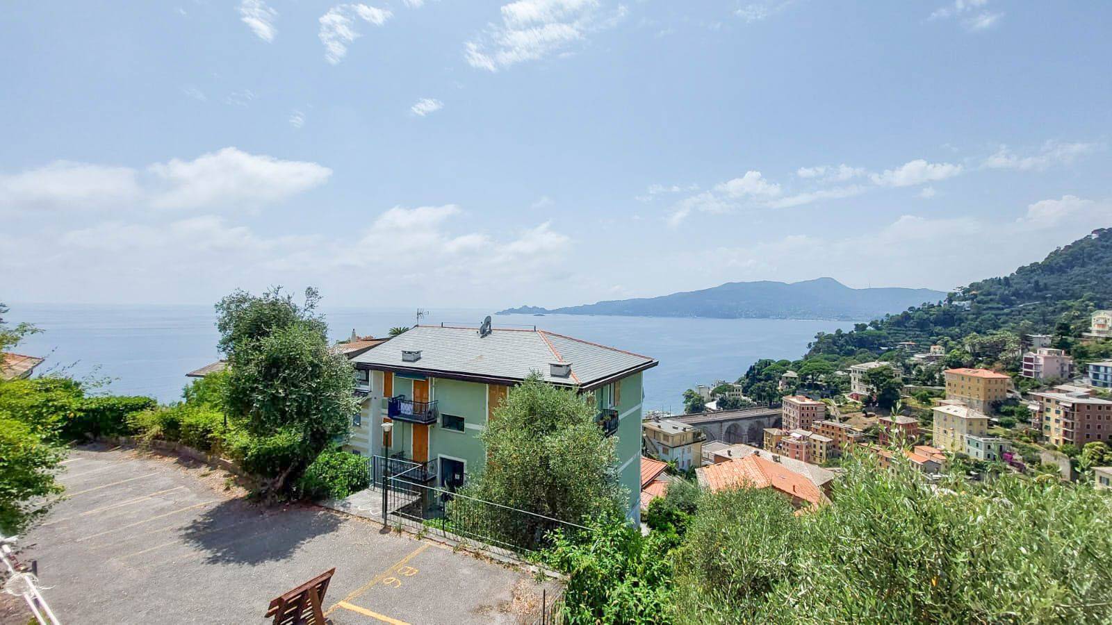 Vista