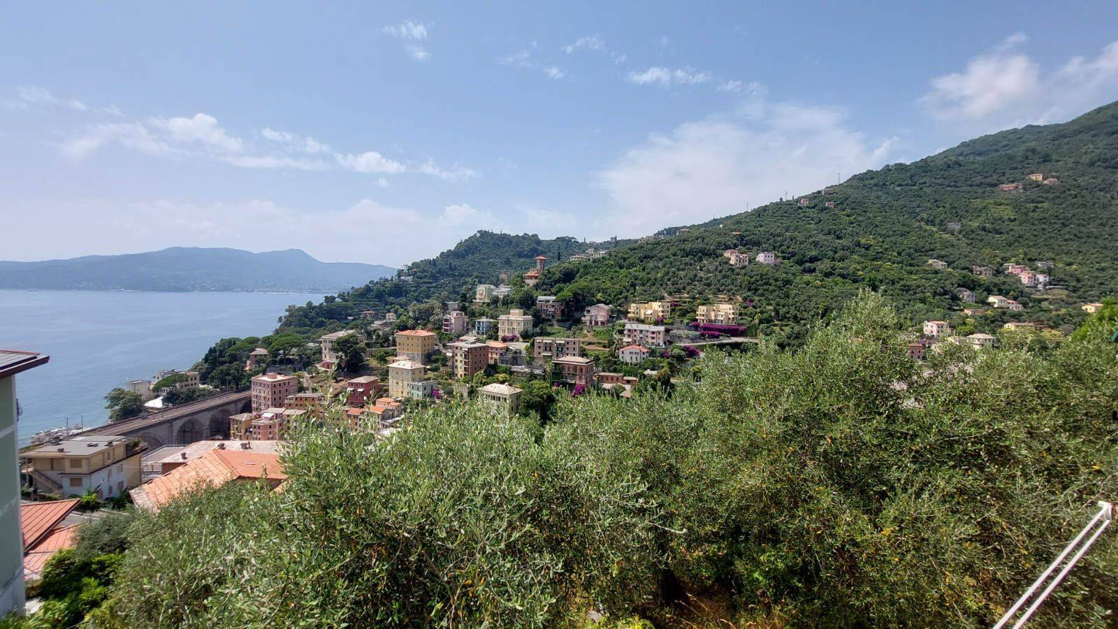 Vista