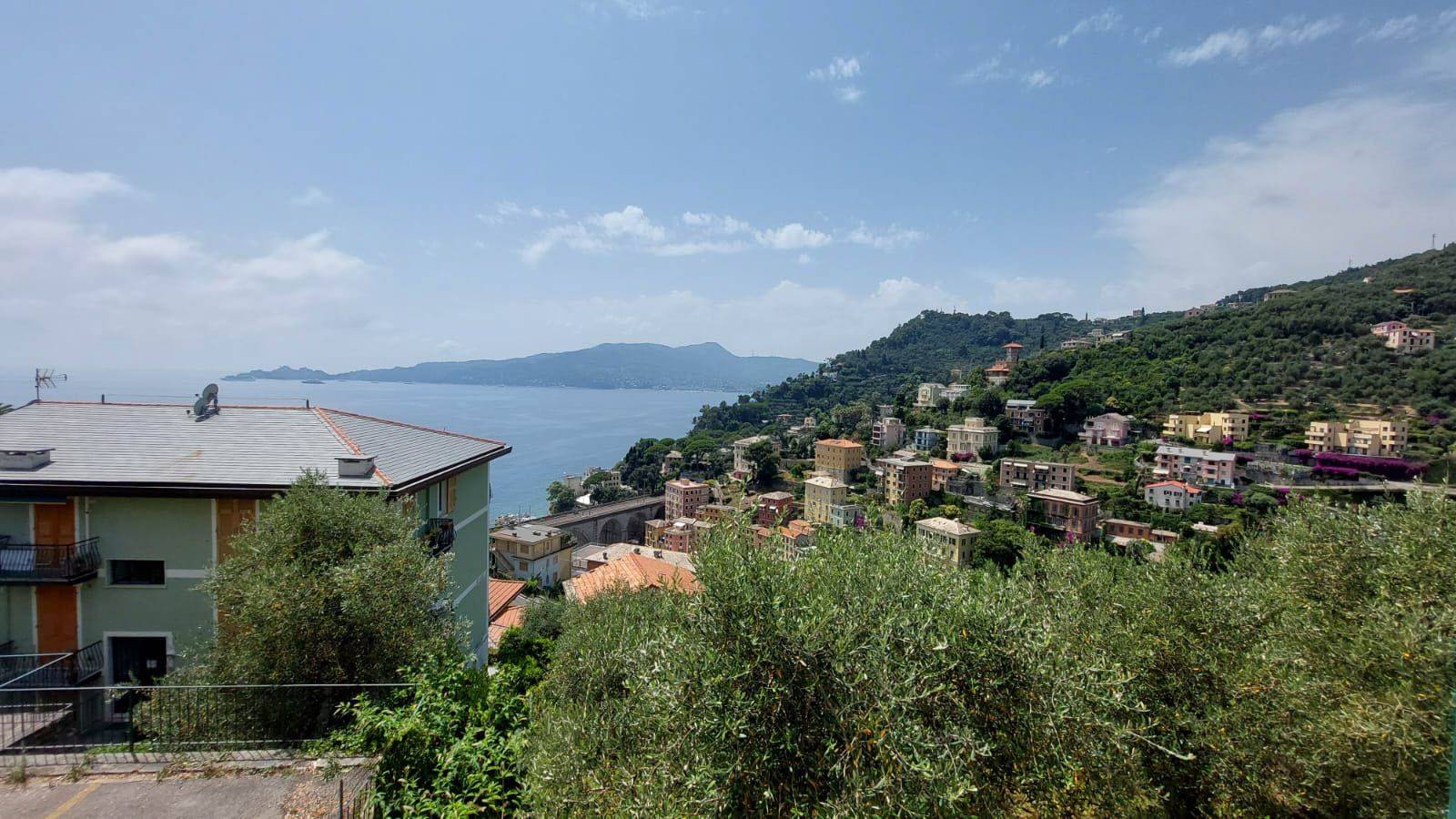 Vista