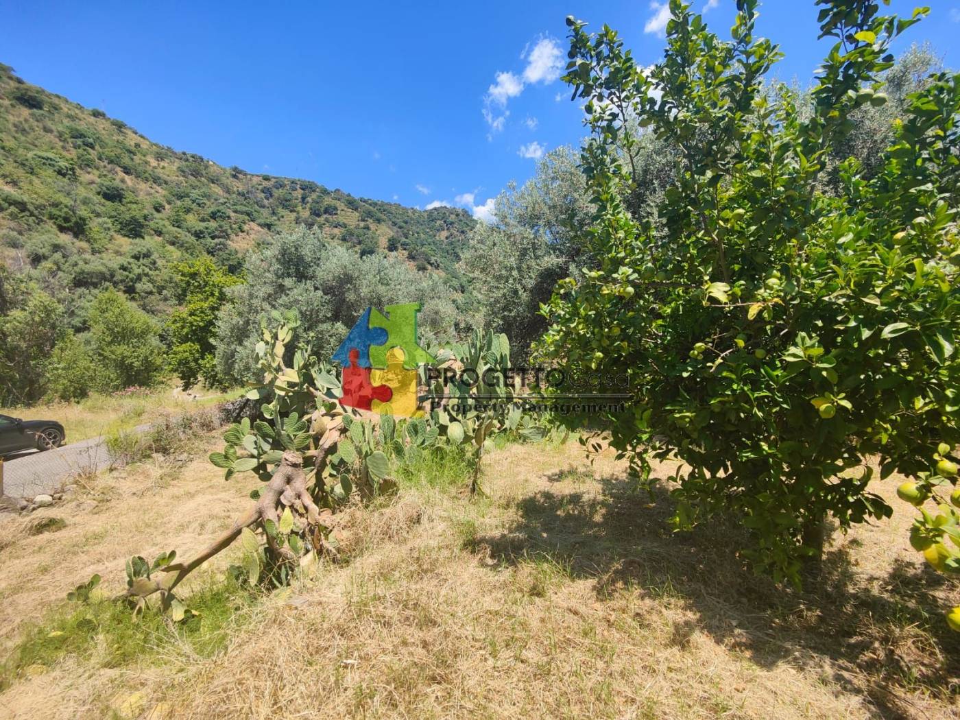 Terreno