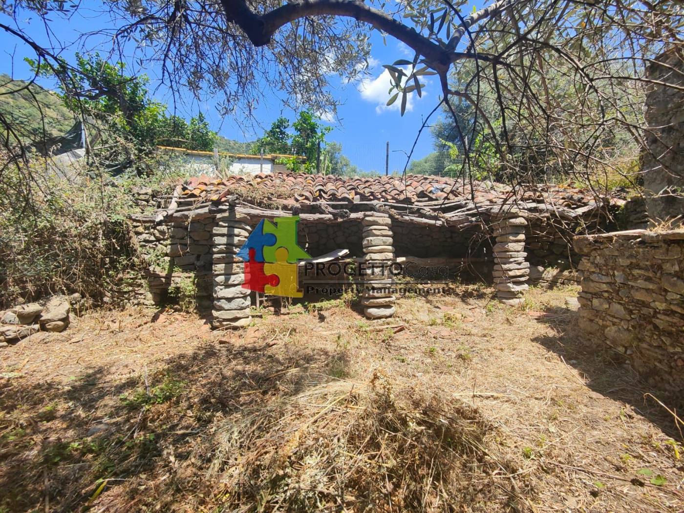 Terreno