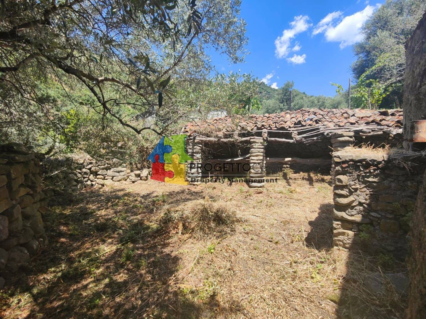 Terreno