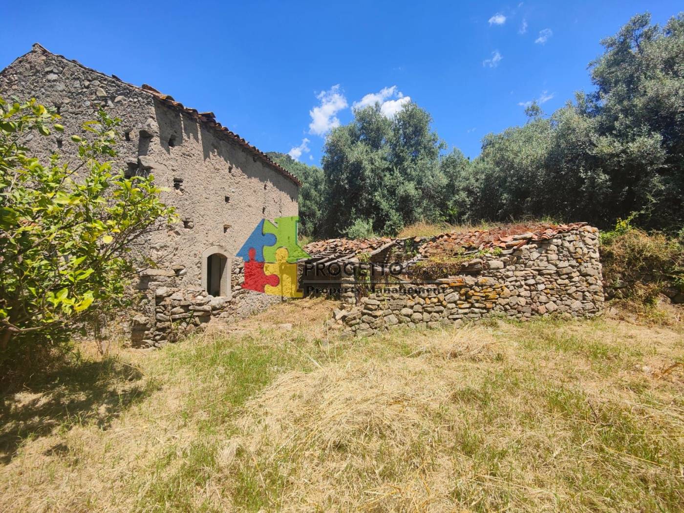 Terreno