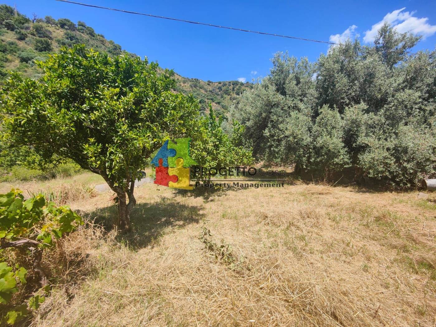 Terreno