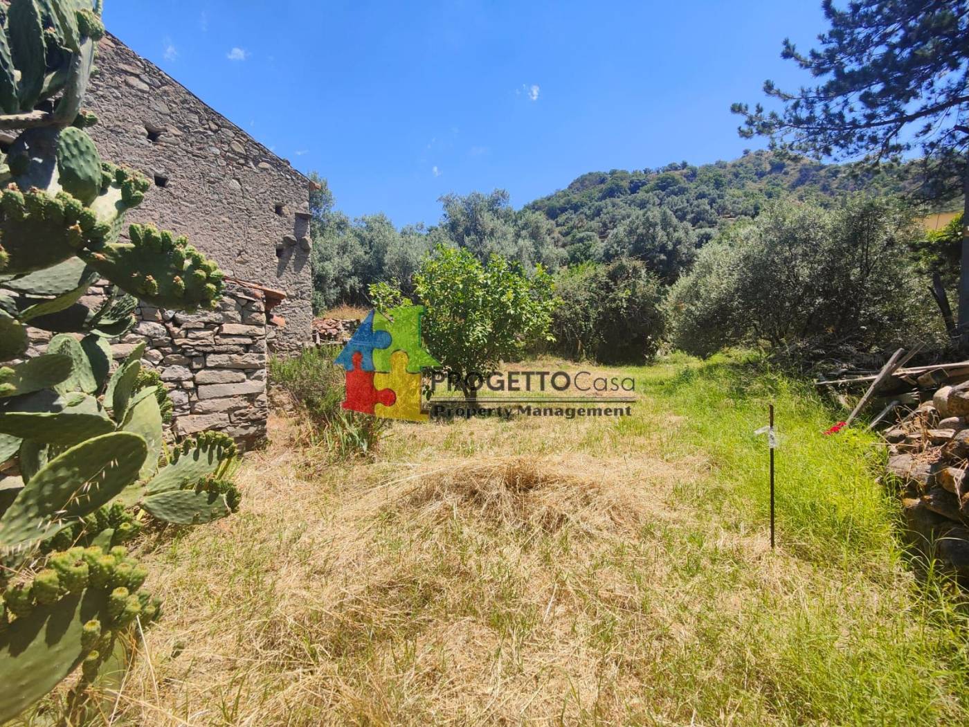 Terreno