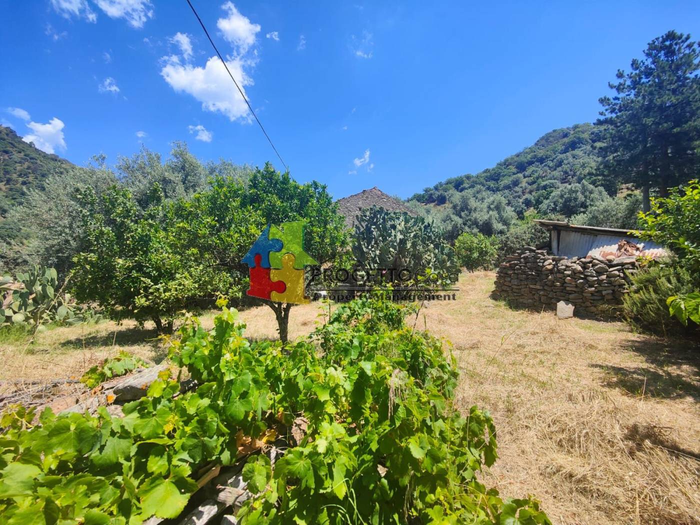 Terreno