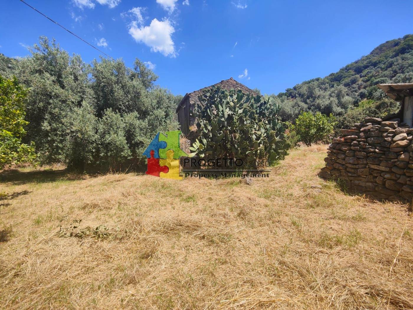 Terreno