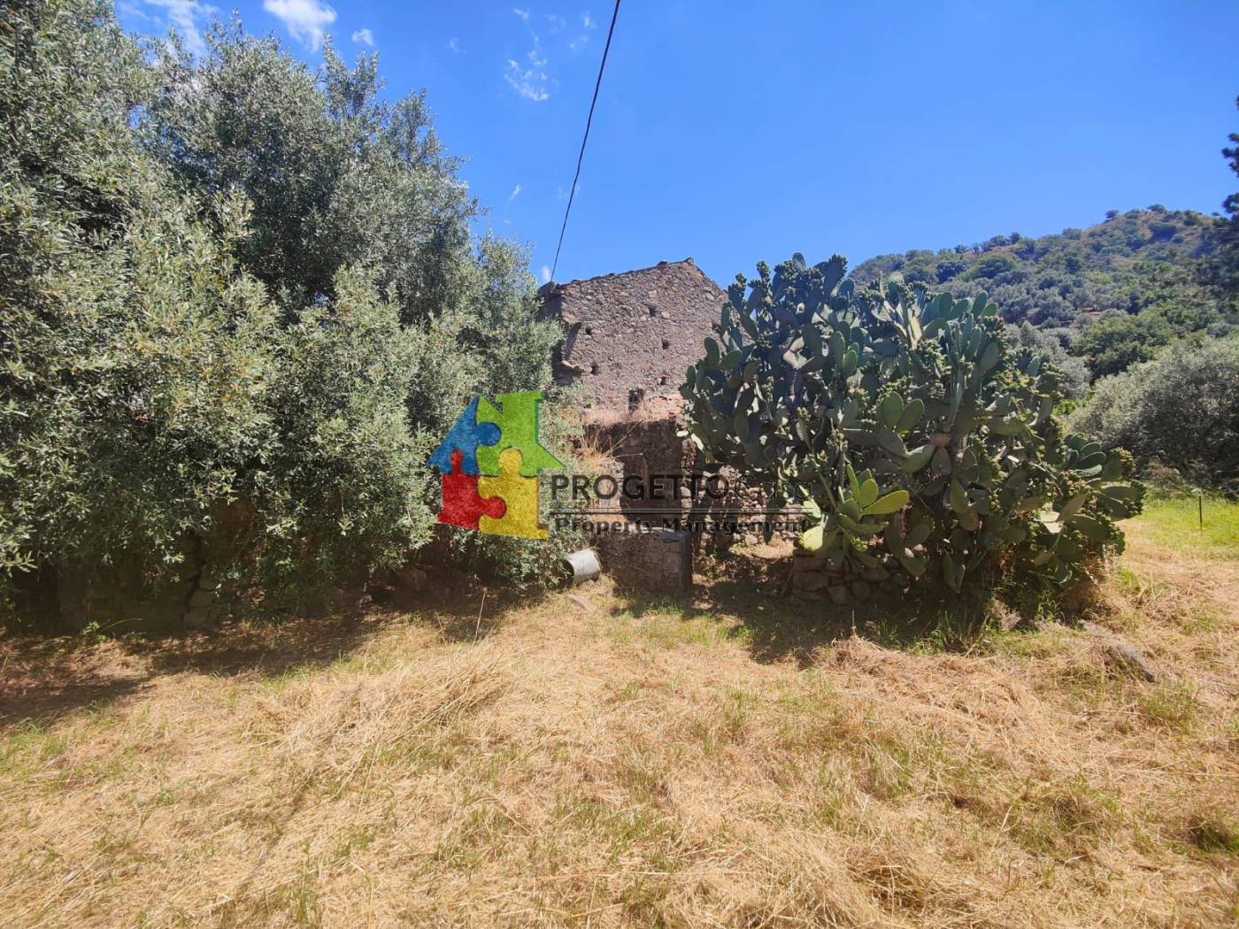 Terreno