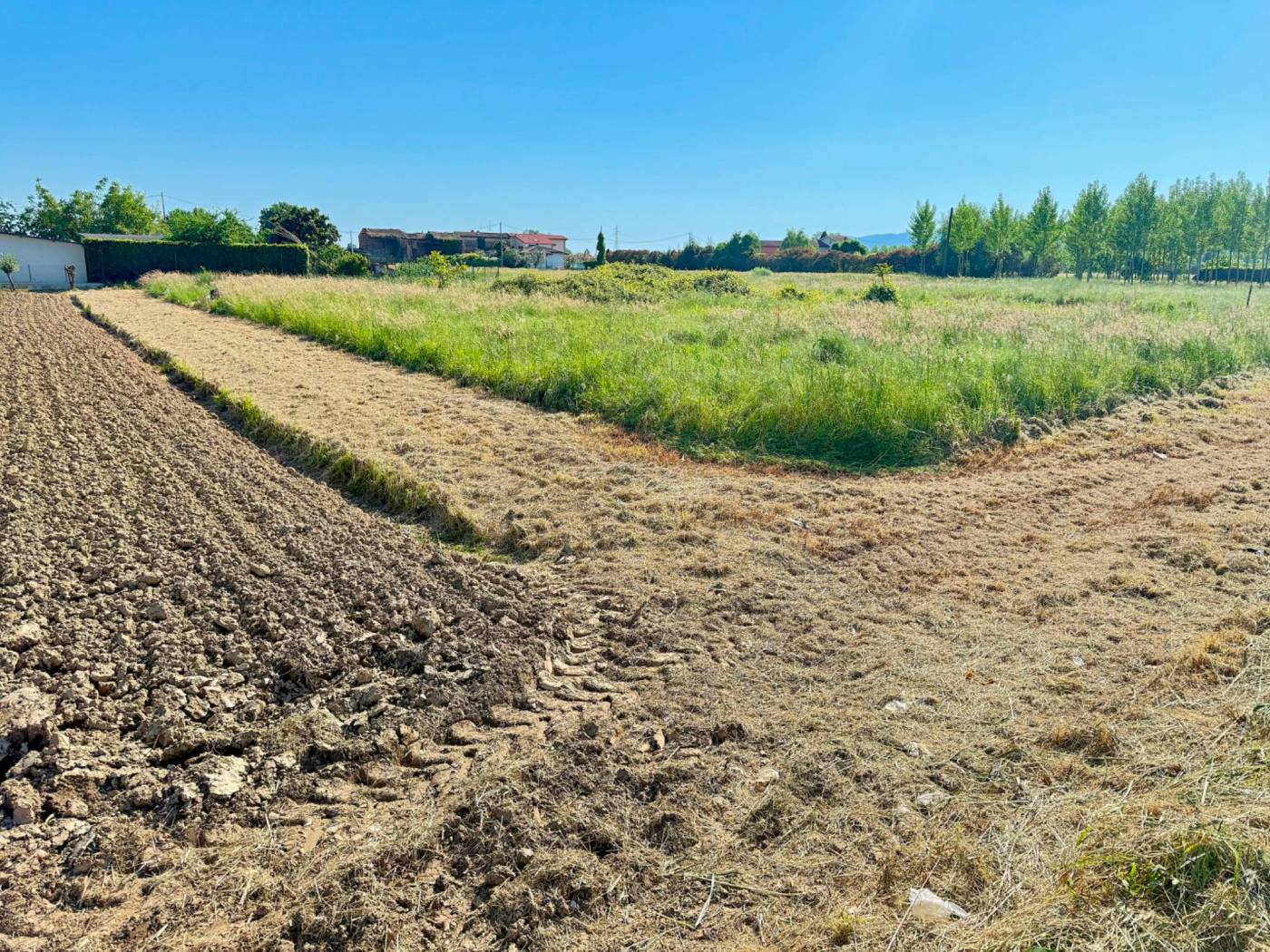 Terreno