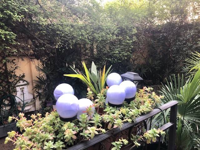 Giardino