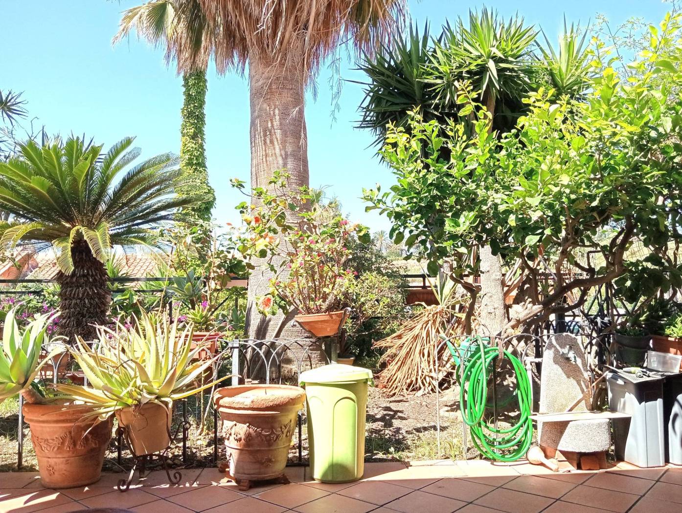 Giardino