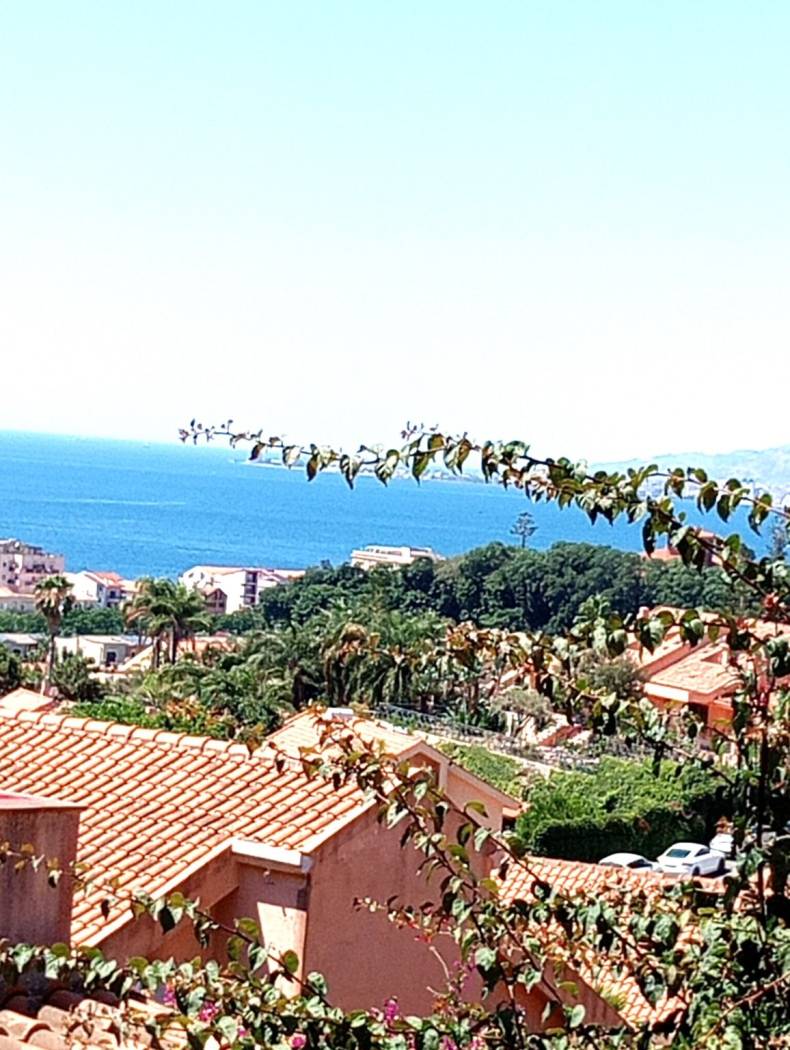 Vista