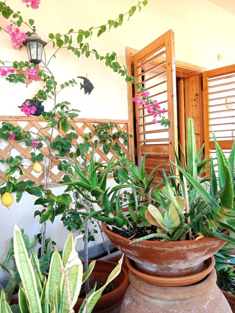Giardino