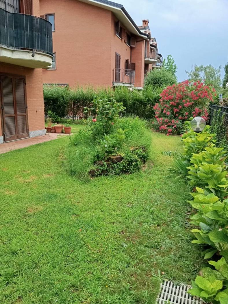 Giardino