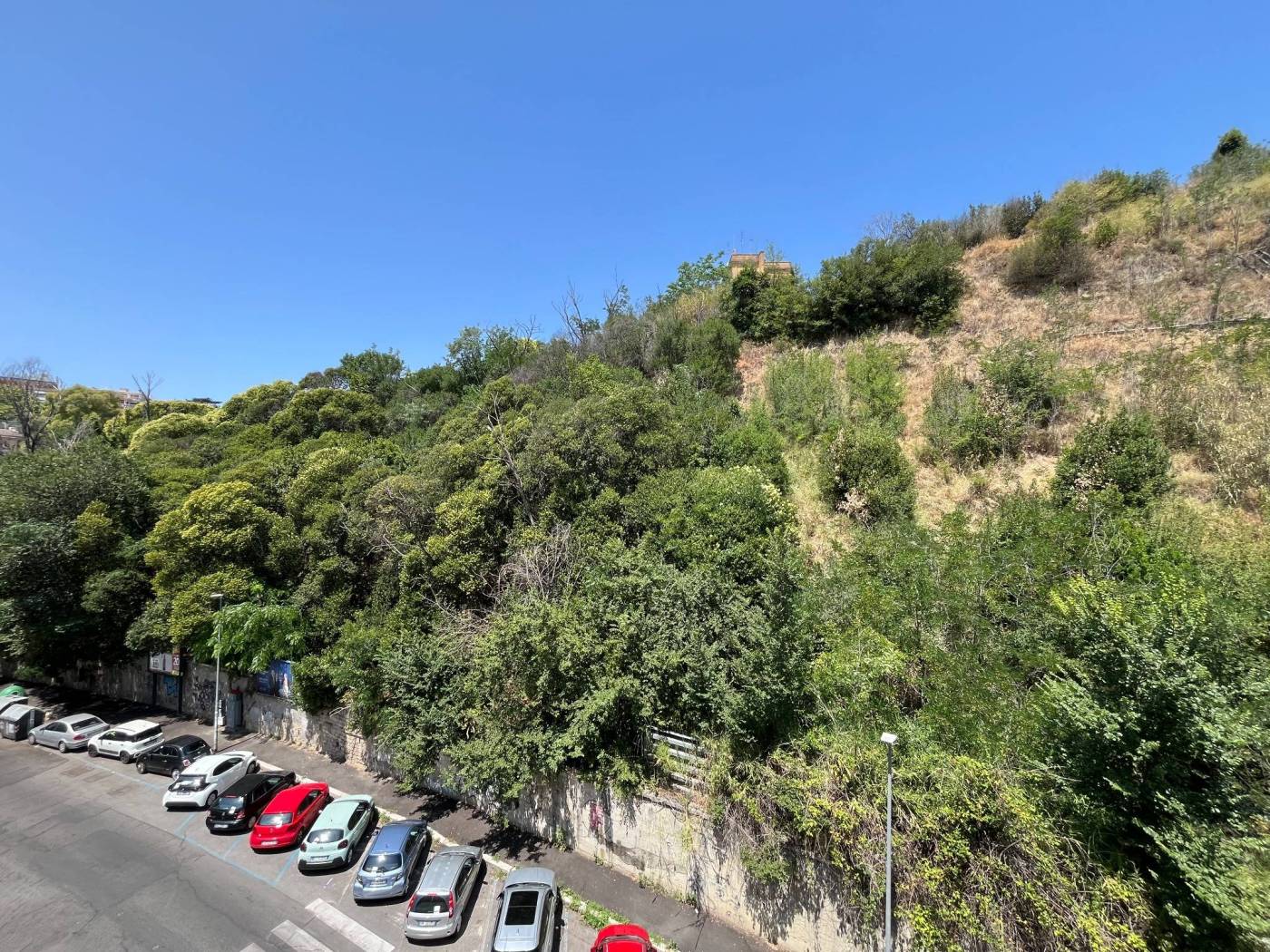 Vista