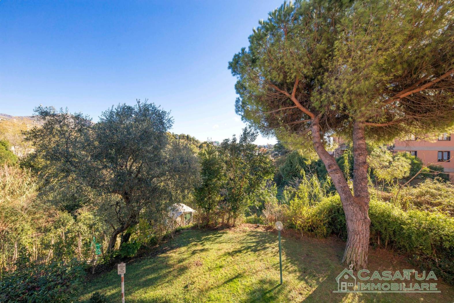 Giardino