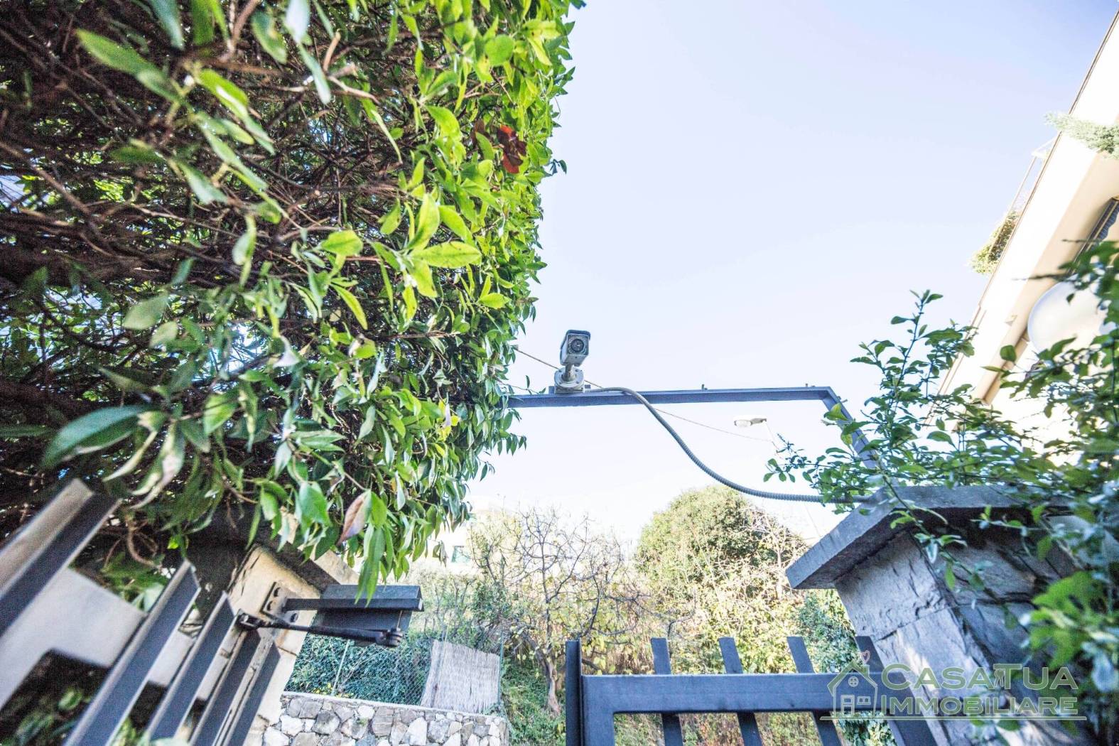 Giardino