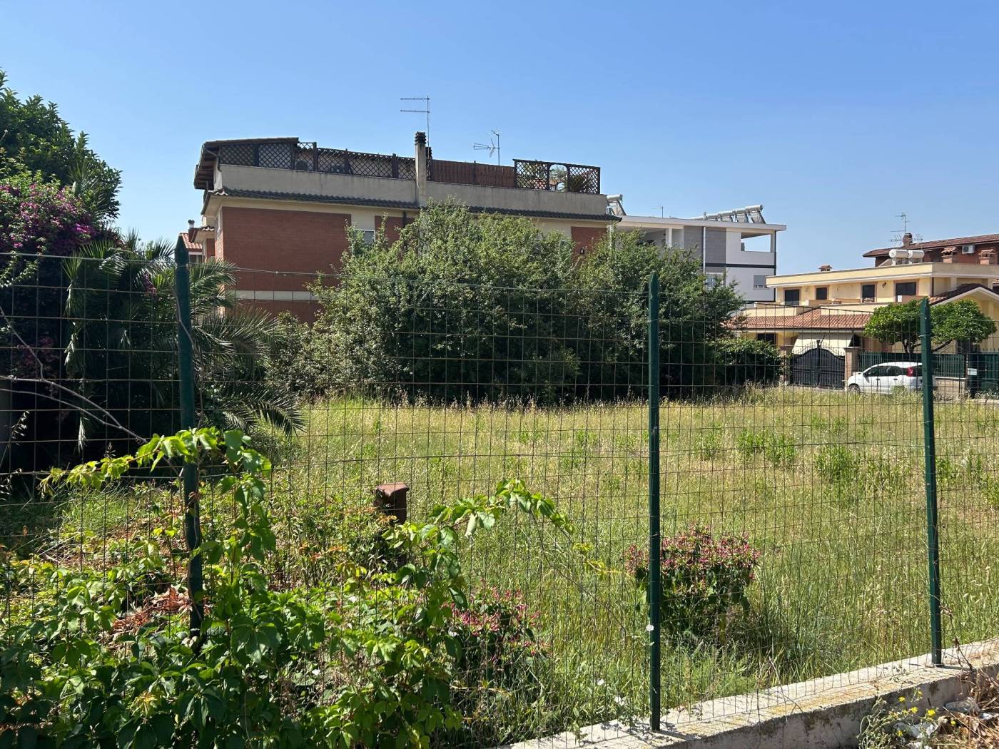 Terreno
